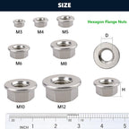 (20 PCS) M8-1.25 Hexagon Flange Nuts with Non-Serrated Flange Washer Head, 304 Stainless Steel, Hex Drive, Full Thread