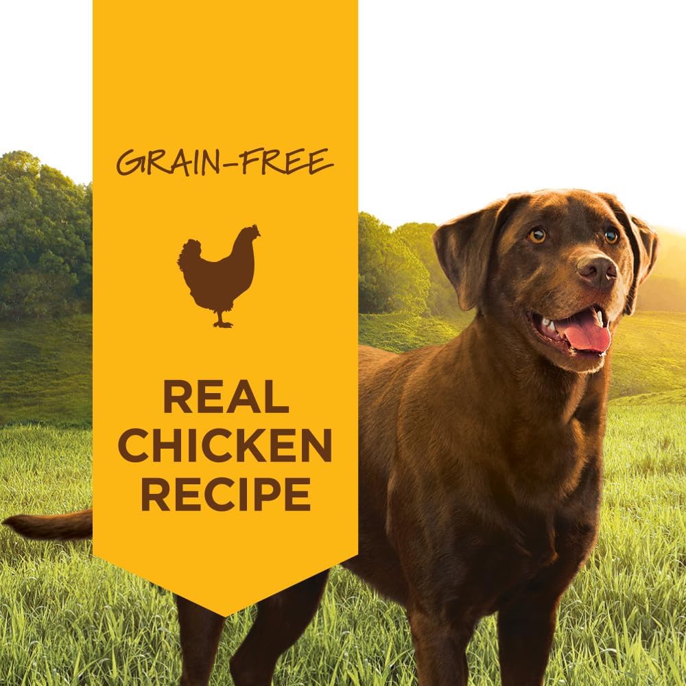 Original Wet Dog Food, Grain Free Recipe - Real Chicken, 13.2 Ounce (Pack of 6)