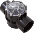 Pentair 263042 Check Valve CPVC for Pool Pumps, 2 Port Straight