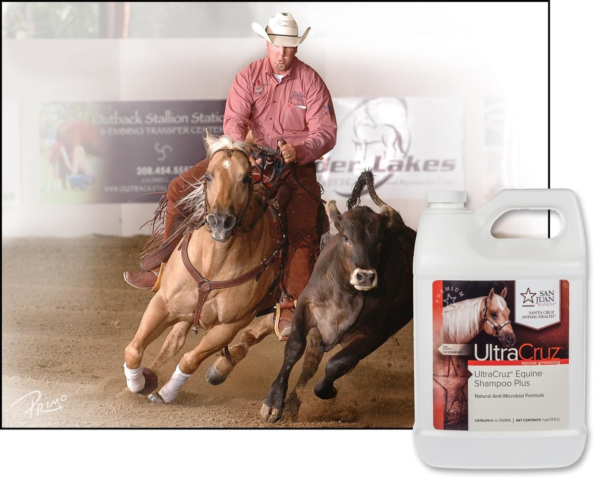 Equine Shampoo Plus for Horses, 1 gal