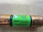Fuse Dual Element 30A