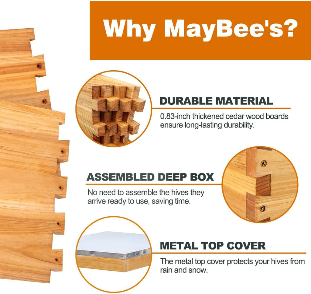 8-Frame Beehive Starter Kit, Bee Hive Kit Dipped in Beeswax, Bee Hives Boxes Starter Kit Includes Beekeeping Supplies
