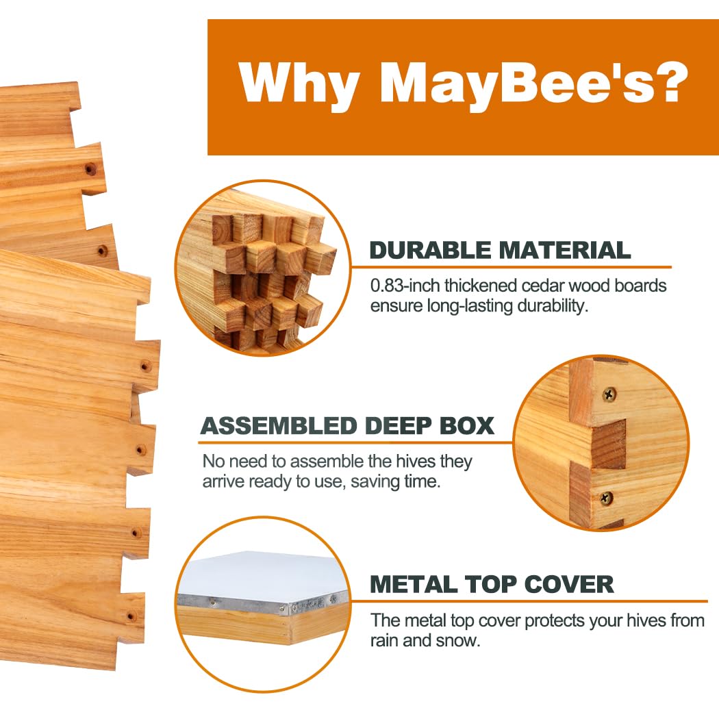 Beehive Starter Kit 8-Frame Bee Boxes and Frames Beehive Kit Wax Coated Bee Hives and Supplies Starter Kit Including