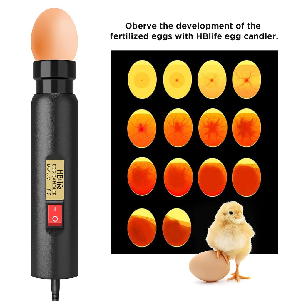 Wired LED Egg Candler, Bright Cool Light Egg Candler Tester for Monitoring Egg Development with 2 Soft Rubber