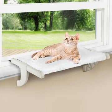 Cat Beds