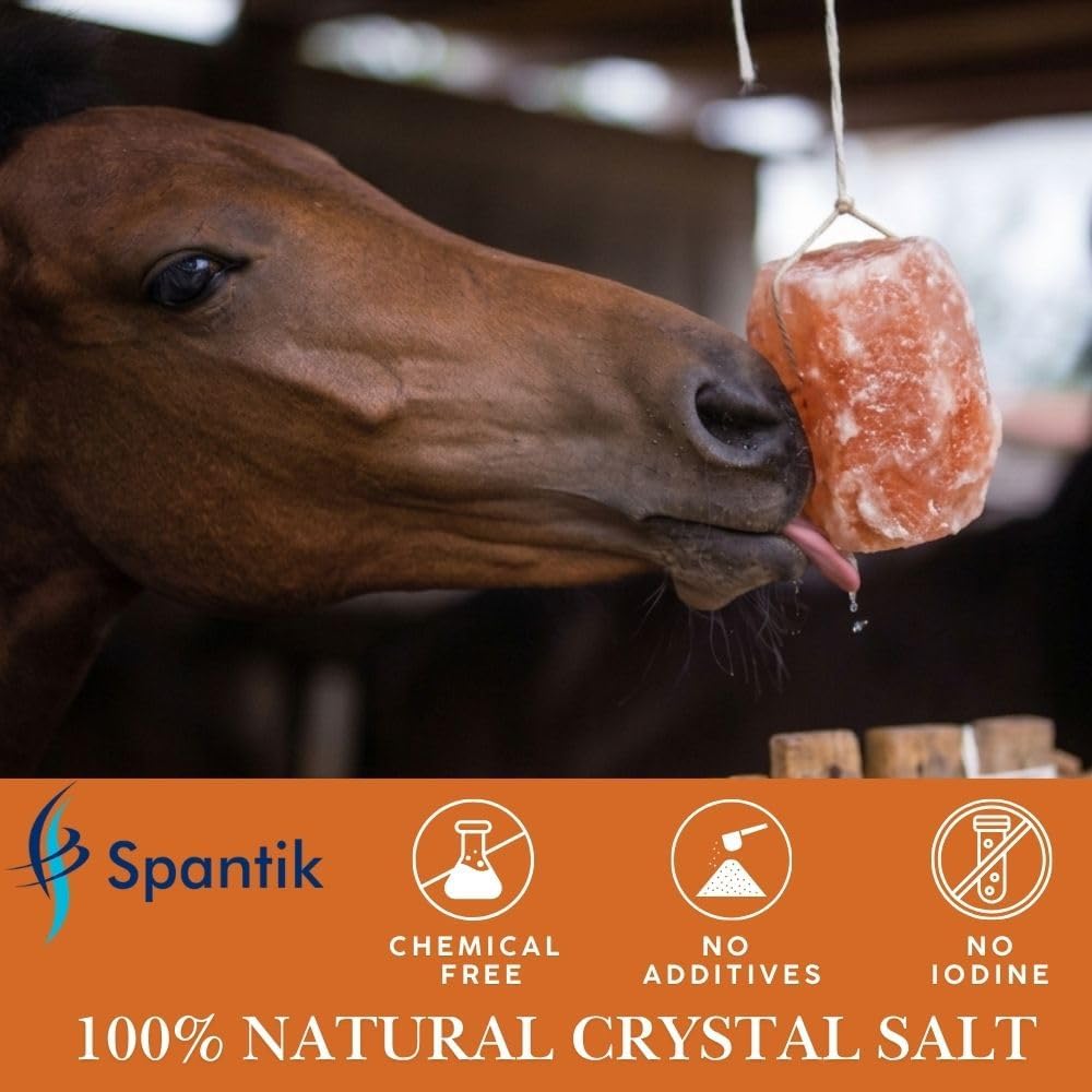 6 lbs Himalayan Salt Lick on Rope for Horse, Cow, Goat, Sheep, Deer and Livestock Animals - 2 Pack