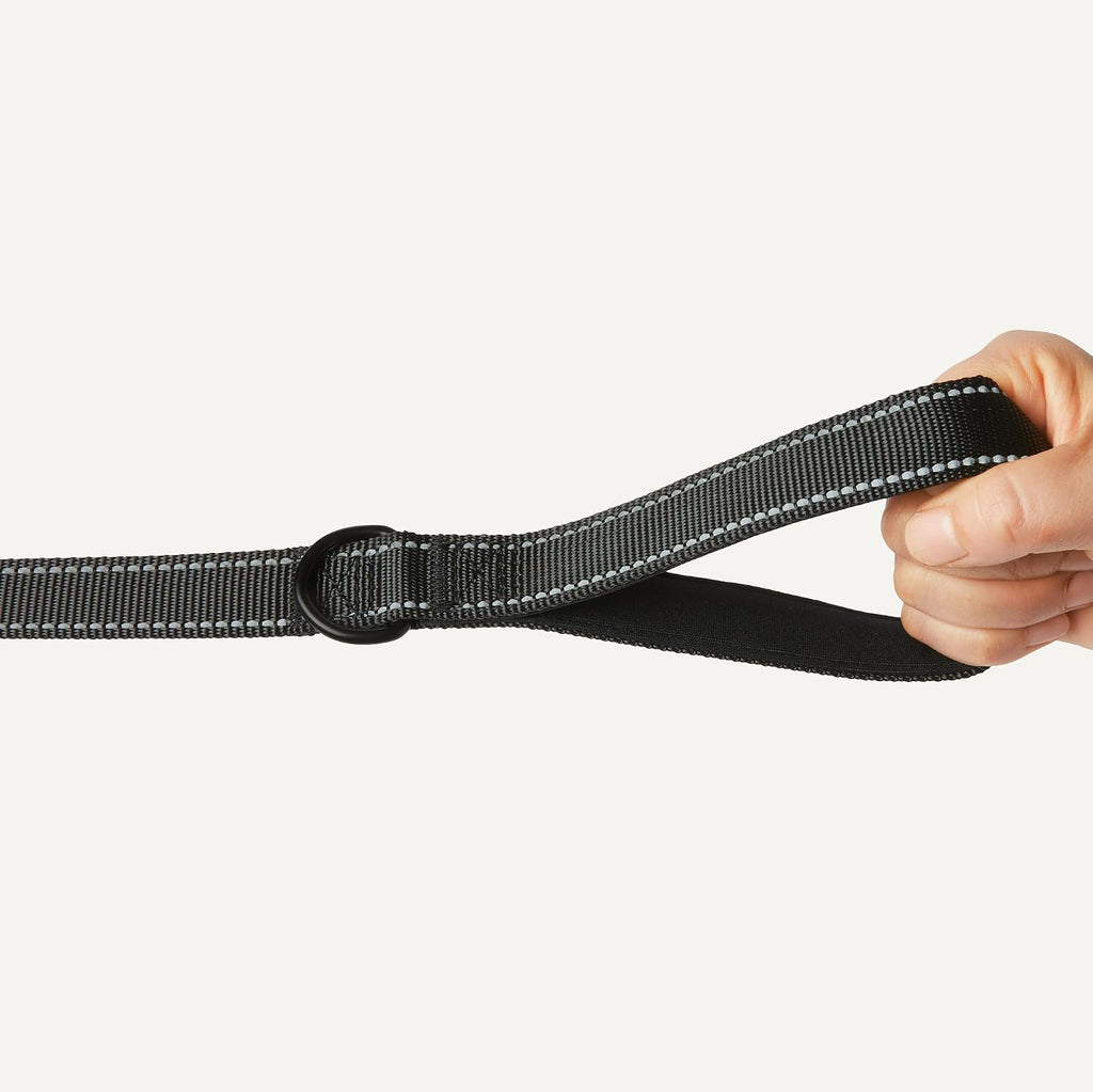 Dog Leash, 6ft with 2 Comfortable Dual Padded Handles for Traffic Control, Highly Reflective Leashes for Large &