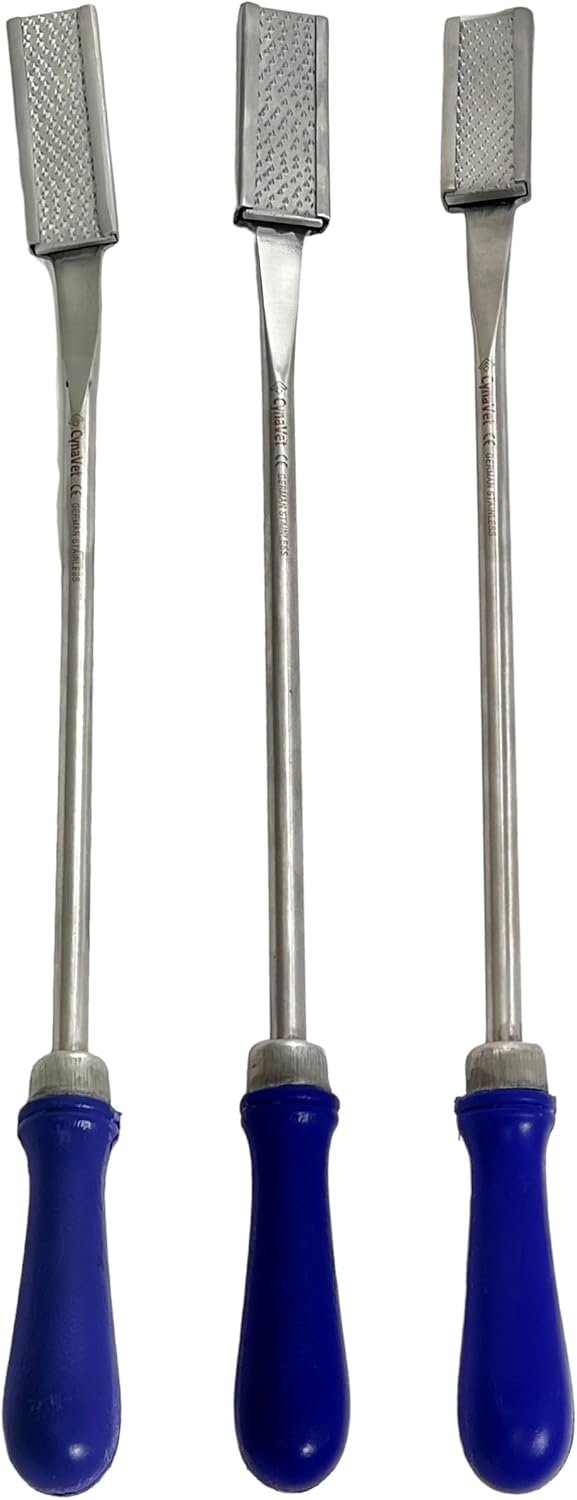 Horse Dental Float Rasp Set (3 PCS) - German Stainless Steel Equine Hand Tool Kit for Vet & Farrier - Straight, Up, &