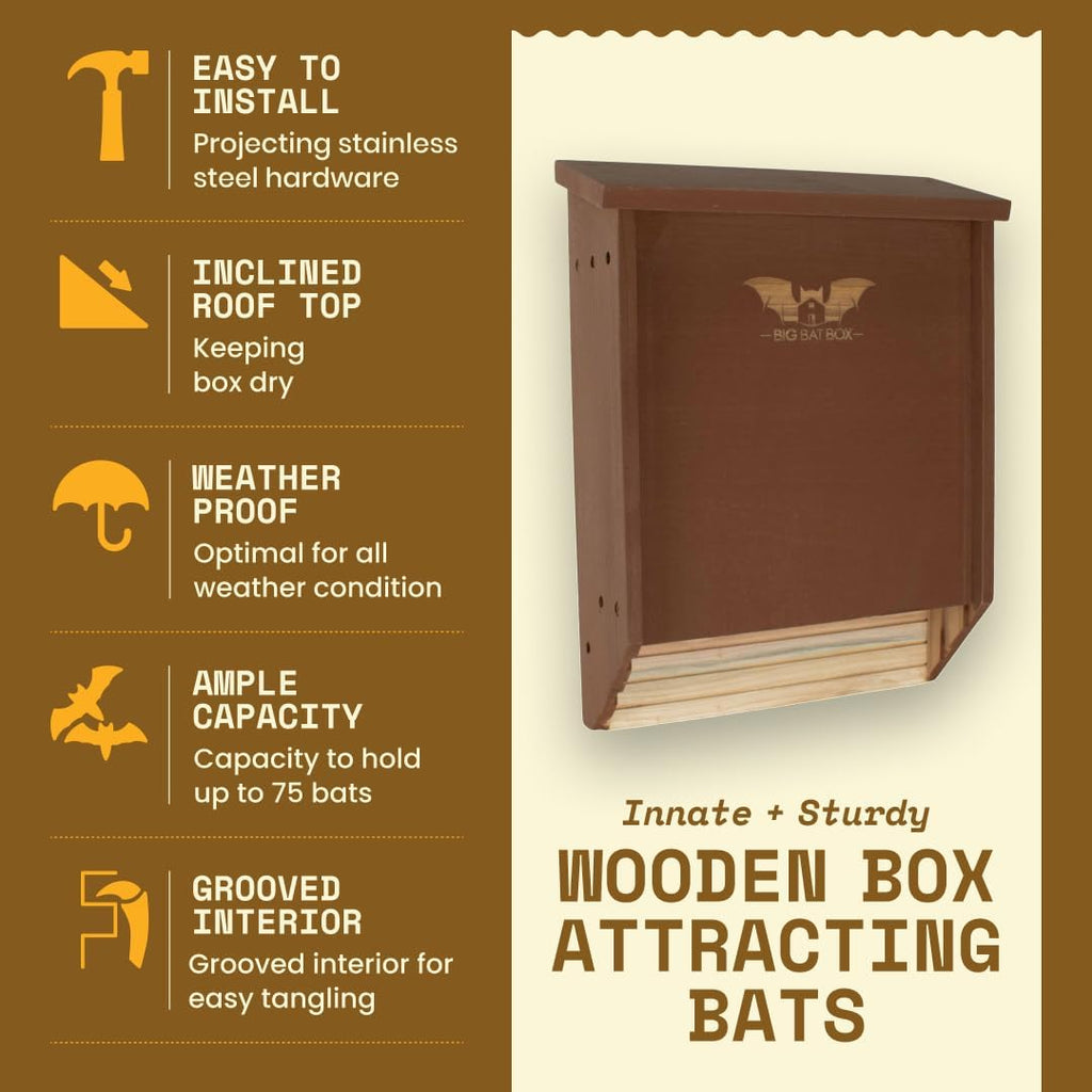 BIGBATBOX Bat House for Outdoors - Large 2 Chamber, Brown Cedar, Holds 75