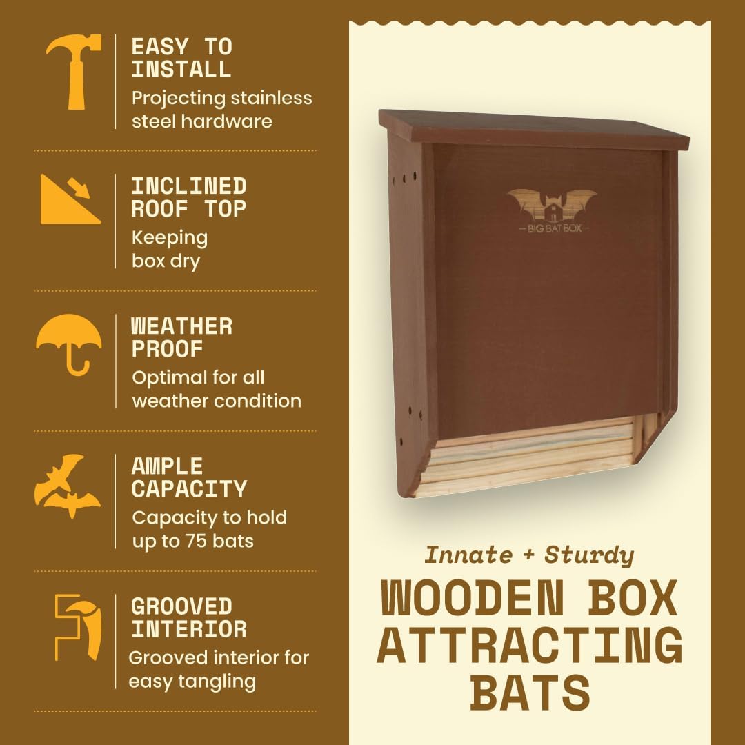 BIGBATBOX Bat House for Outdoors - Large 2 Chamber, Brown Cedar, Holds 75