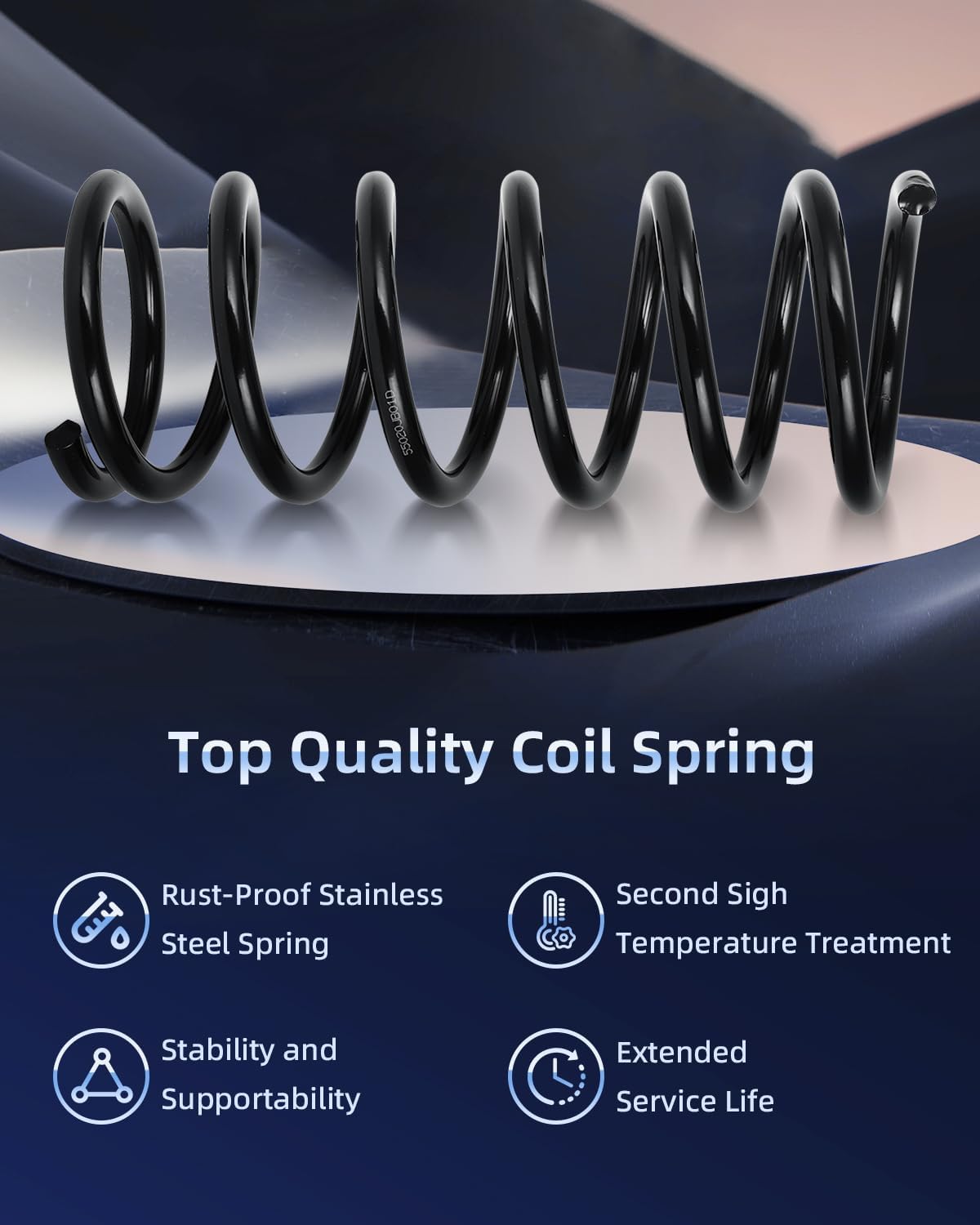 ECCPP 2PCS Rear Coil Springs Suspension Coil Spring Set for Nissan Altima