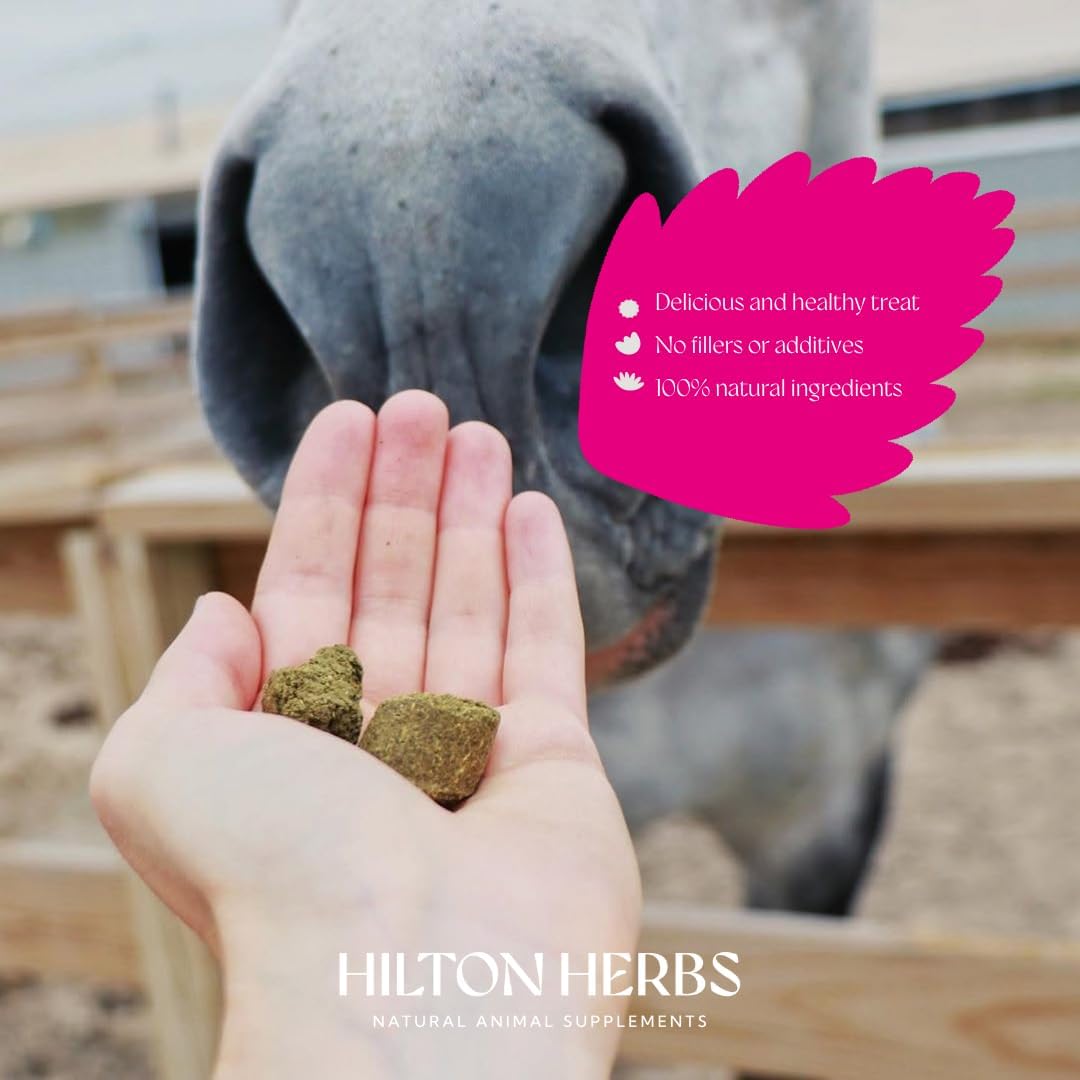 Herballs No.2 - Turmeric & Ginger All-Natural Treats for Horses 2kg (4.4lb) Bag, Equine Supplement