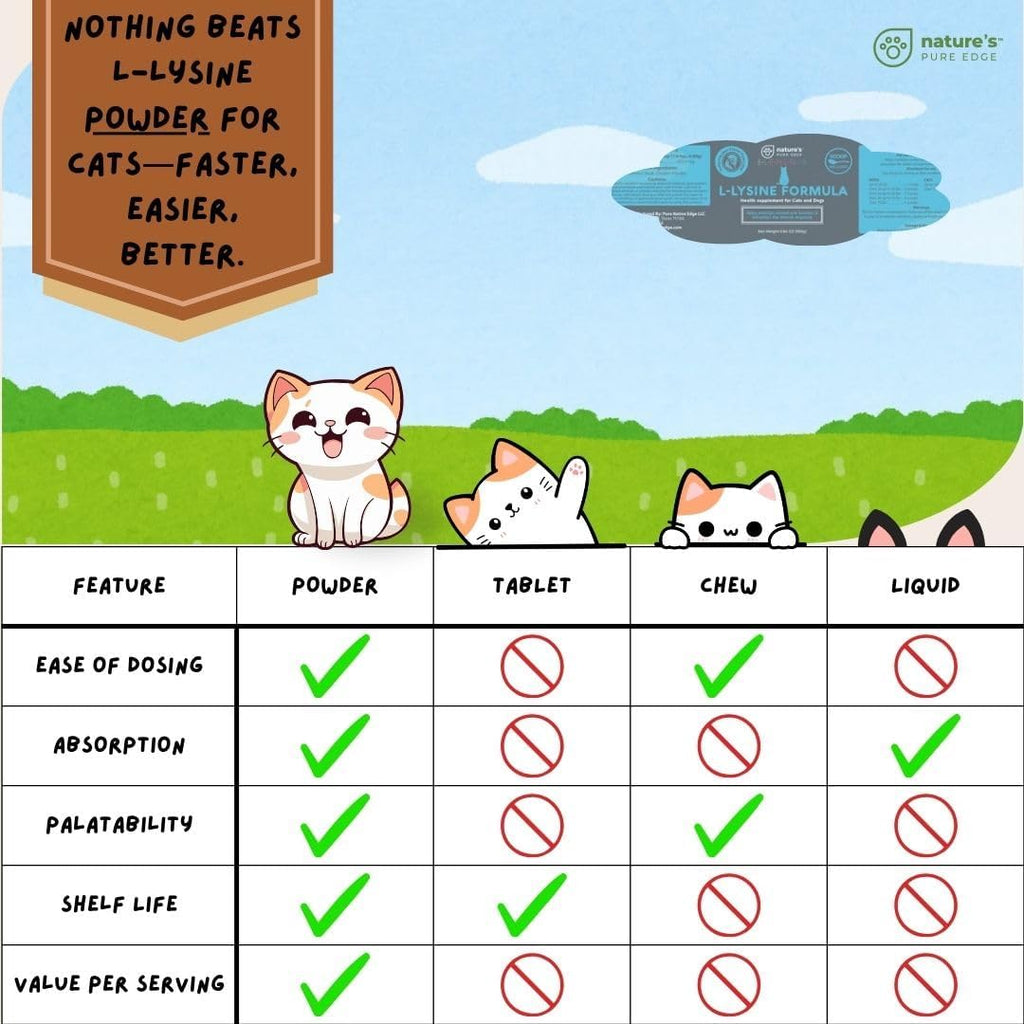 L-Lysine Powder for Cats and Kittens, Chicken Flavored Lysine Supplement for Cats and Kittens and Dogs to Support