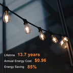12 Pack Edison LED Light Bulbs, E26 Base, 8W 2700K, Dimmable