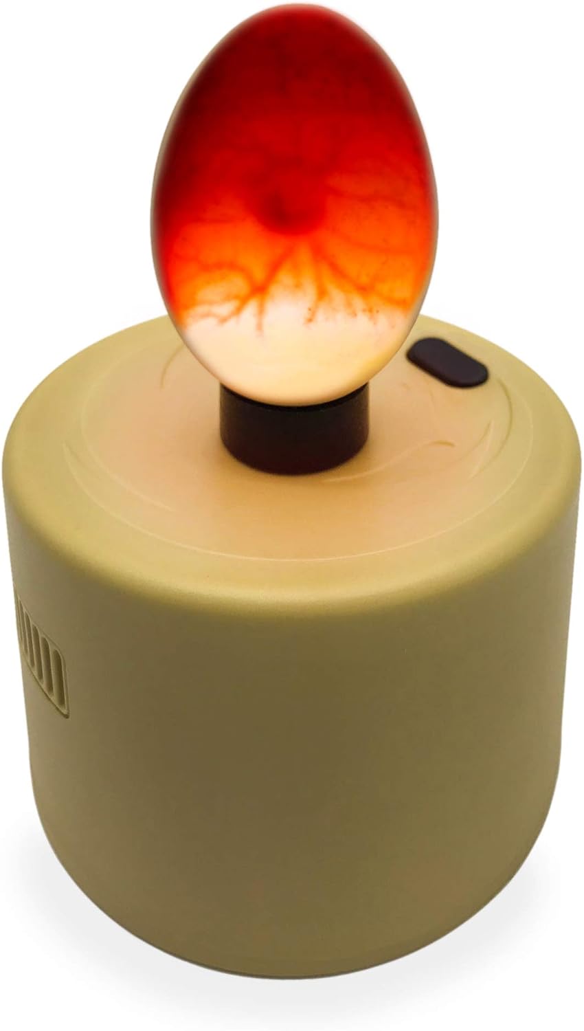 High Intensity LED Chicken Egg Candler/Tester – Battery Powered