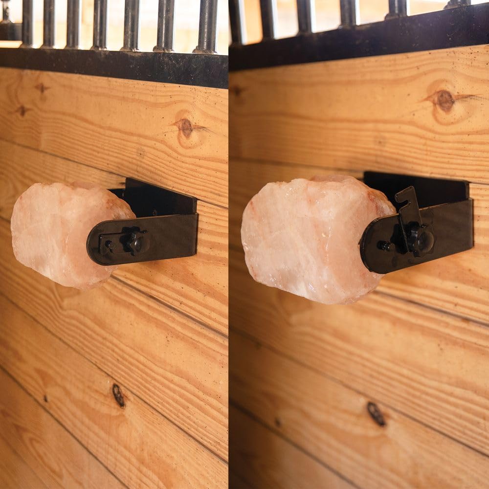 Easy-Up Salt Lick and Boredom Treat Mounted Holder | 360 Swivel Design for Horses | Fits Round Salt Blocks or Likit
