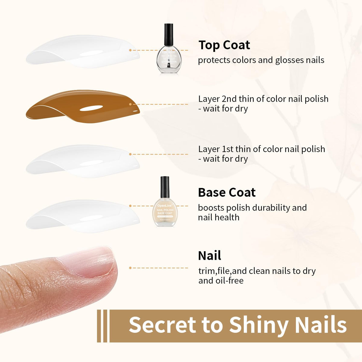 Base and Top Coat Nail Polish 16.5ml Quick DryLarge Volume Basic