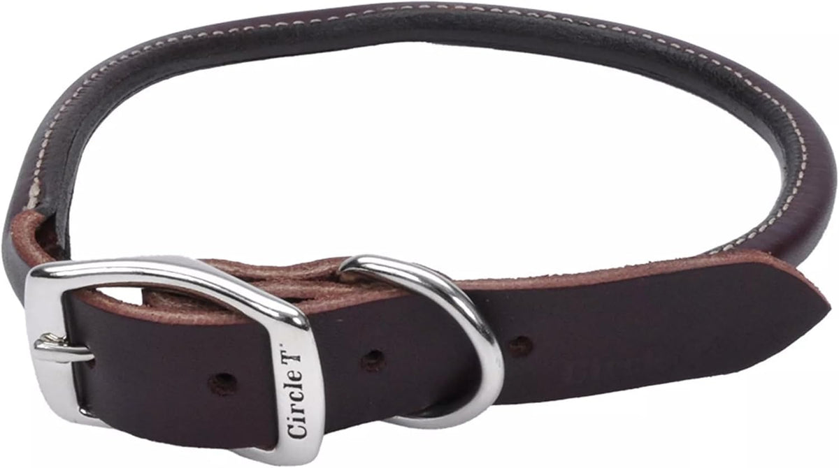 Pet Leather Dog Collar, Coastal Pet Circle T Latigo, 3/8" x 18"
