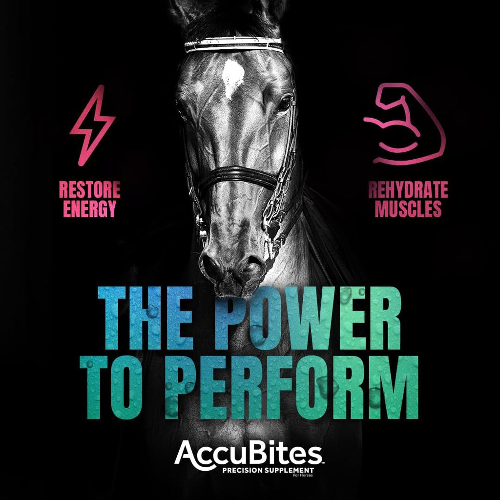 AccuBites Replenish Supplement, Horse Electrolyte Support, 1.6 lb