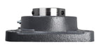 3" Four Bolt Flange Bearing Set Screws UCF215-48 VF4S-248 F4B-SC-300 SF-3 YCJ-3 by SpinCo
