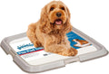 Dog Pee Pad Holder for Puppy, Puppy Pad Holder Tray, Pet Training Pee Pad, Indoor Potty Tray for Senior Dogs, Dog