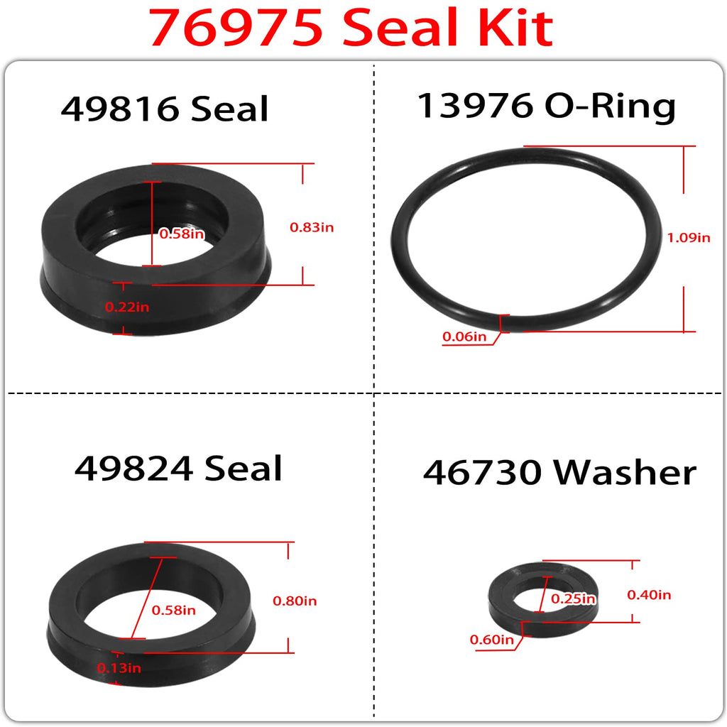 76975 Seal Kit for Cat Pump for 4DNX Pumps 4DNX25GSI 4DNX27GSI (12pcs)