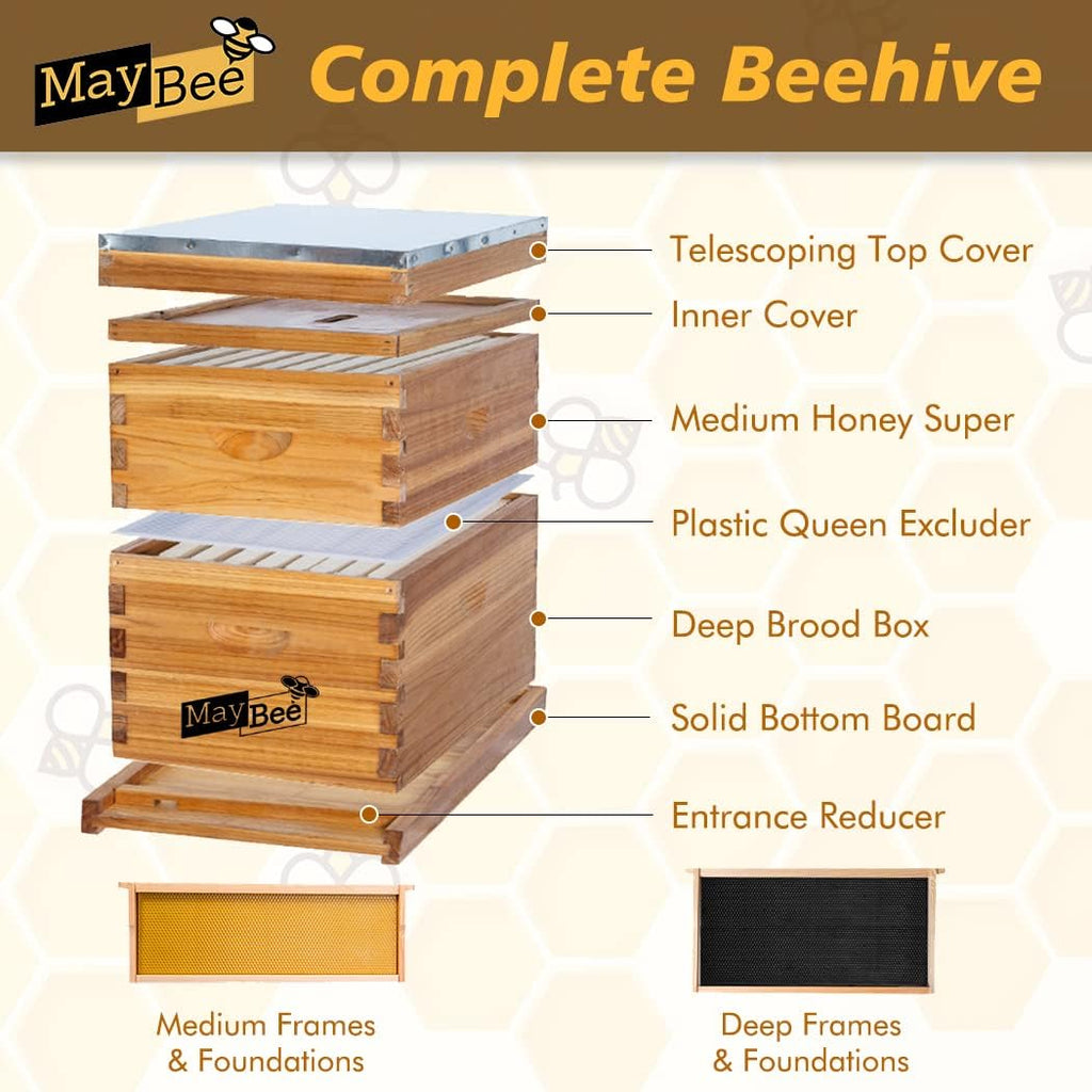 Beehive 8 Frame Bee Hives and Supplies Starter Kit, Bee Hive for Beginner, Honey Bee Hives Includes 1 Deep Bee Boxes