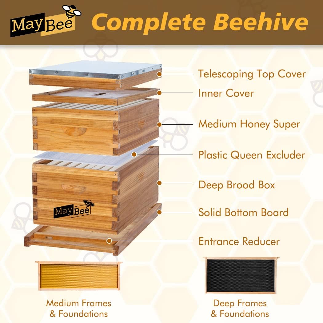 Beehive 8 Frame Bee Hives and Supplies Starter Kit, Bee Hive for Beginner, Honey Bee Hives Includes 1 Deep Bee Boxes