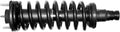 Monroe 171341 Suspension Strut and Coil Spring Assembly