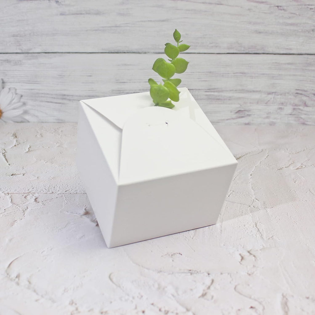 Small White Gift Boxes with Lids, 10 Party Favor Boxes, 4.75 Inch
