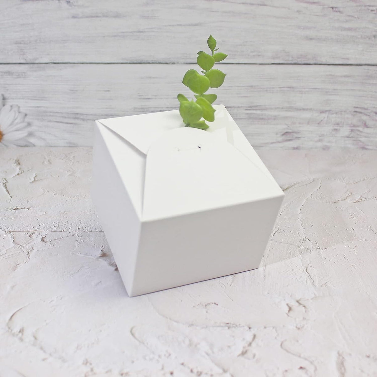 Small White Gift Boxes with Lids, 10 Party Favor Boxes, 4.75 Inch