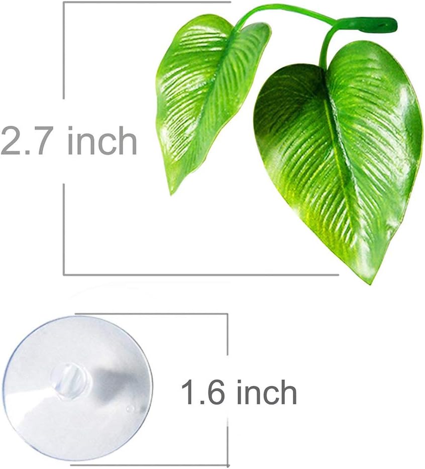 2 Pack Betta Fish Leaf Pad Improves Betta's Health by Simulating the Natural Habitat - Natural, Organic, Comfortable