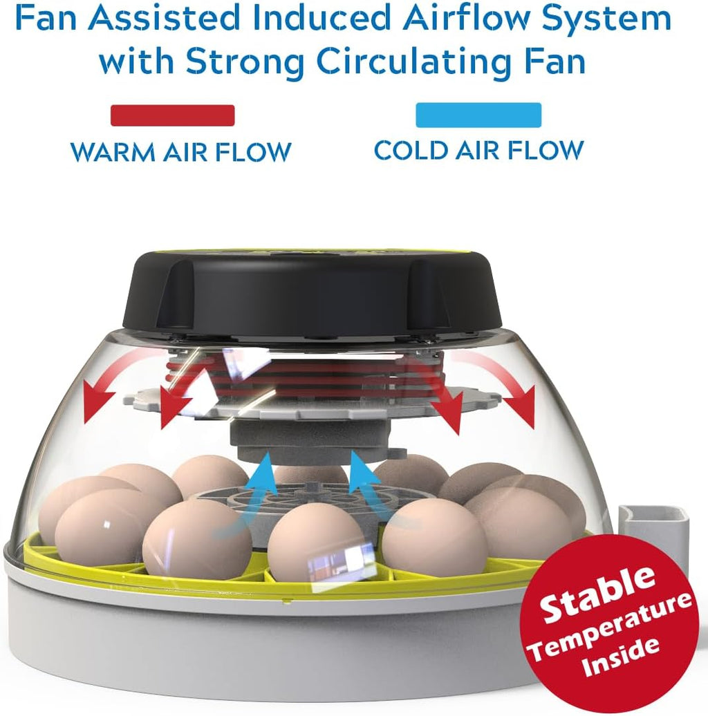 12 Egg Incubator with Humidity Display, Egg Candler, Automatic Egg Turner
