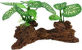 Small Driftwood Aquarium Decor，Aquarium Driftwood Fish Tank Decor