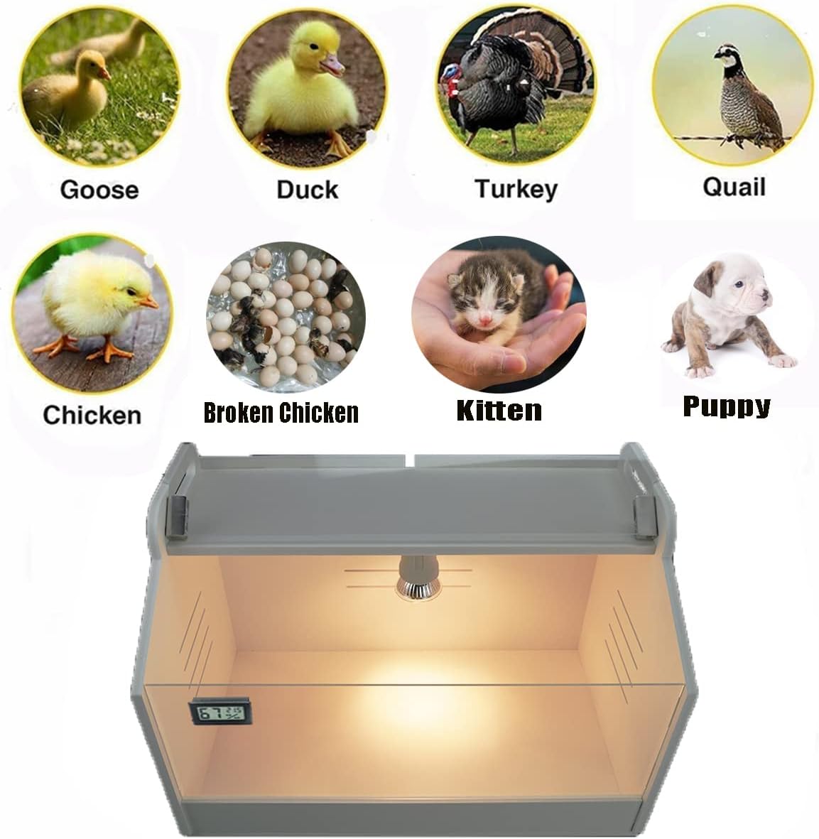 Intelligent Brooder Box 10-15 Newborns Chicks Quail Birds Egg Incubator