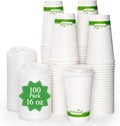 100 Count 16 oz Compostable Paper Coffee Cups with CPLA Lid