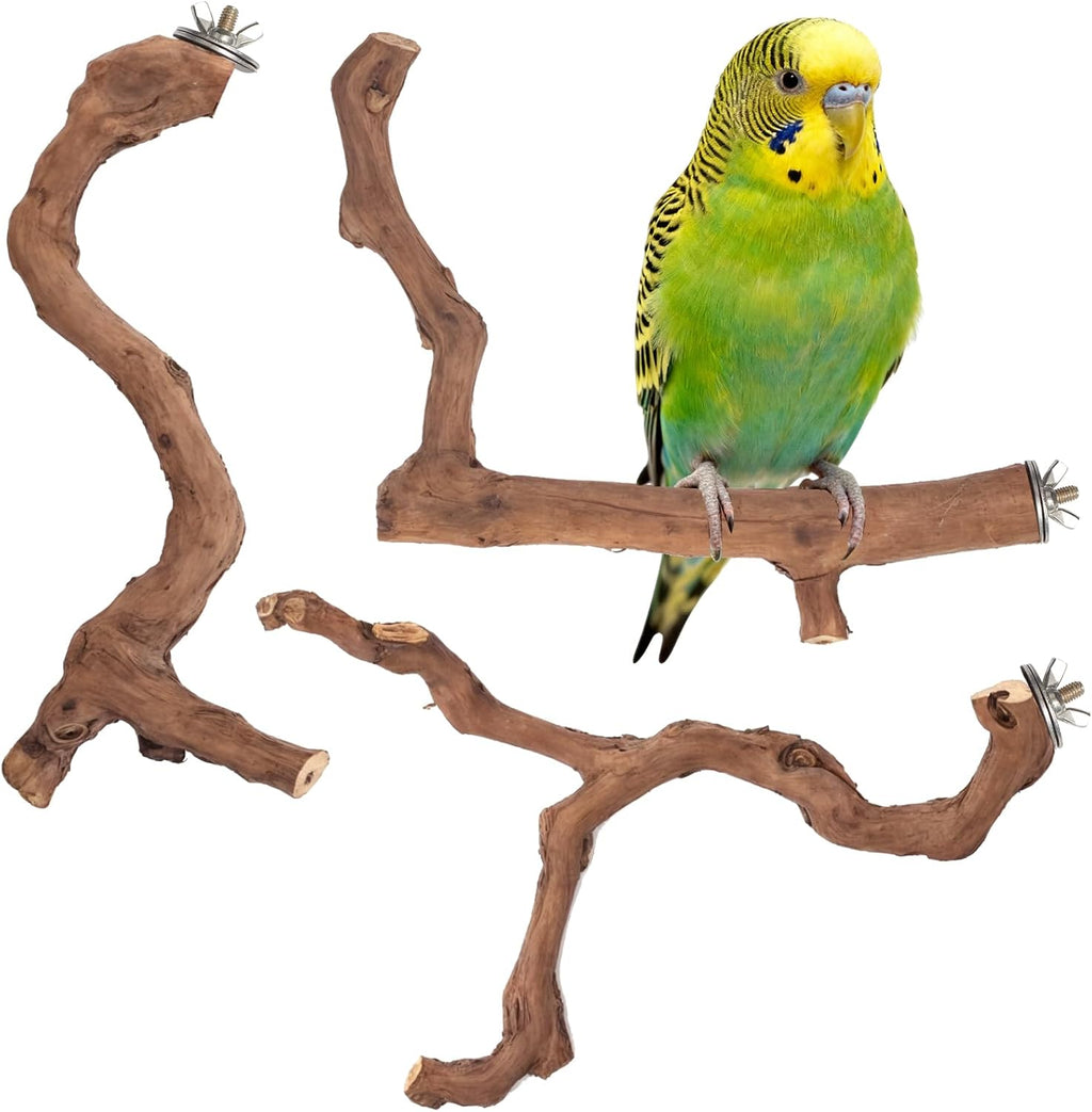 3-Piece Premium Bird Perch Stand with Natural Grape Wood Branch, Paw Grinding Fork, Chewing Stick, Cage Accessories
