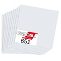 Ten 12" x 12" Sheets Oracal 651 Permanent Adhesive Craft Vinyl for Cricut, Silhouette, and Cameo Cutters with Pattern