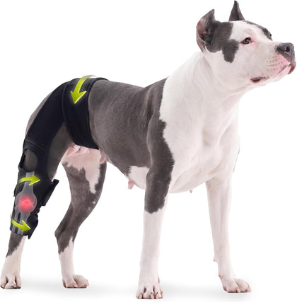 Dog Knee Braces for Back Leg, Adjustable Torn ACL Brace for Dogs