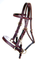 Australian Outrider Collection Leather Bridle/Halter