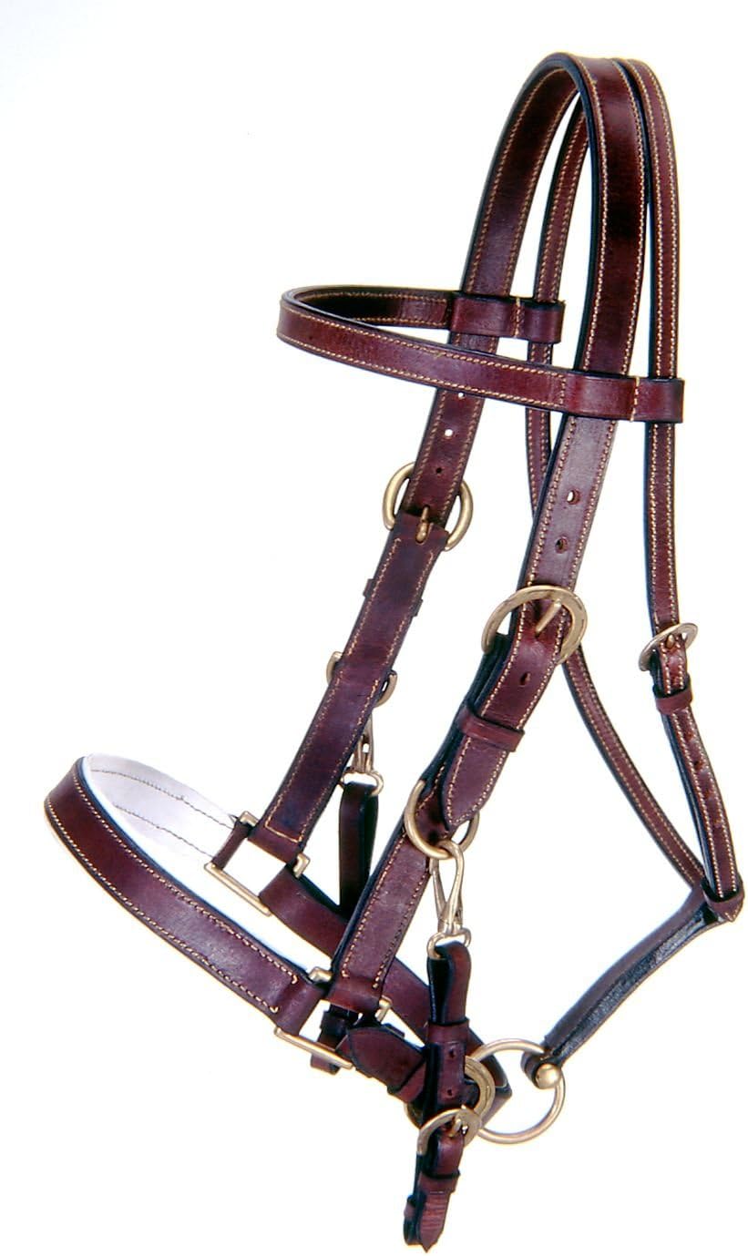 Australian Outrider Collection Leather Bridle/Halter