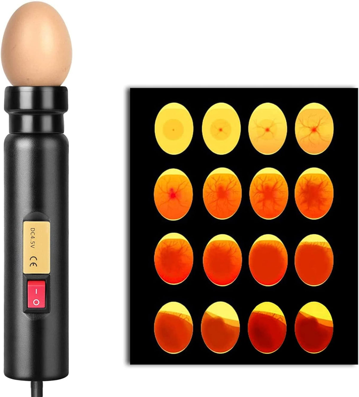 Egg Candler, LED Egg Hatching Test Light, High Intensity LED Chicken Egg Candler Mini Egg Tester Pen for Science