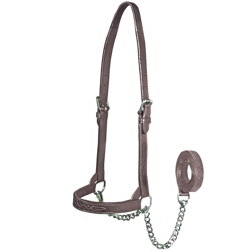 New and Improved Premium Flat Fancy Stitch Leather Cattle Show Halter with Matching Chain Lead