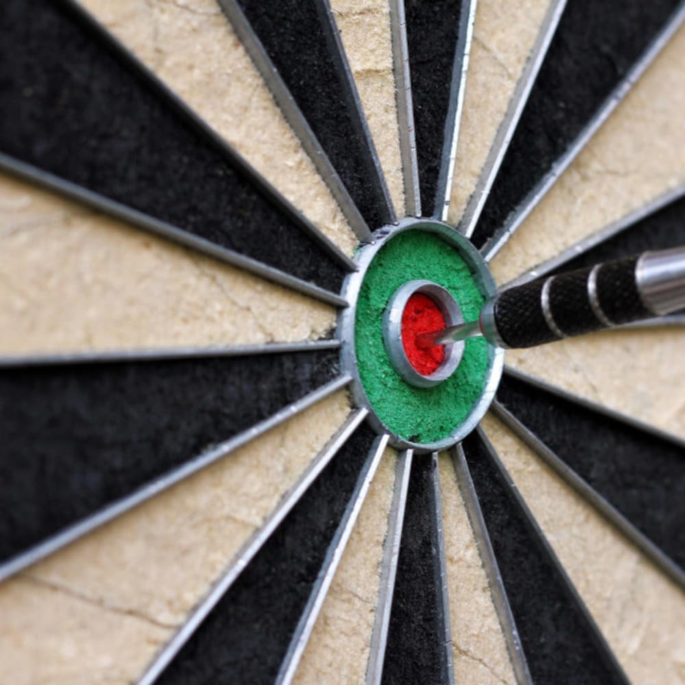 Hey Play Bristle and Metal Dart Board, 18” | Tournament Sized Indoor Hanging Number Target Game for Steel Tip Darts
