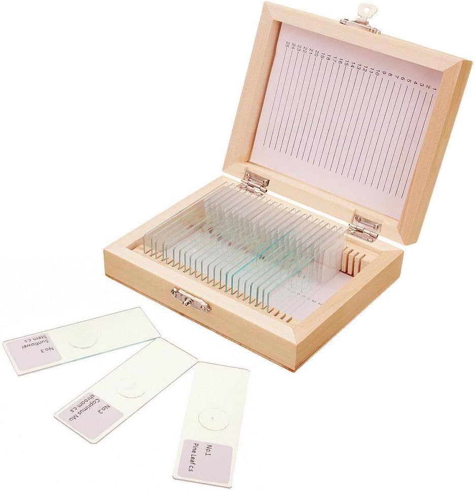 25Pcs Prepared Microscope Slides Set with Fitted Wooden Case, Animals Insects Plants Flowers Sample Biological