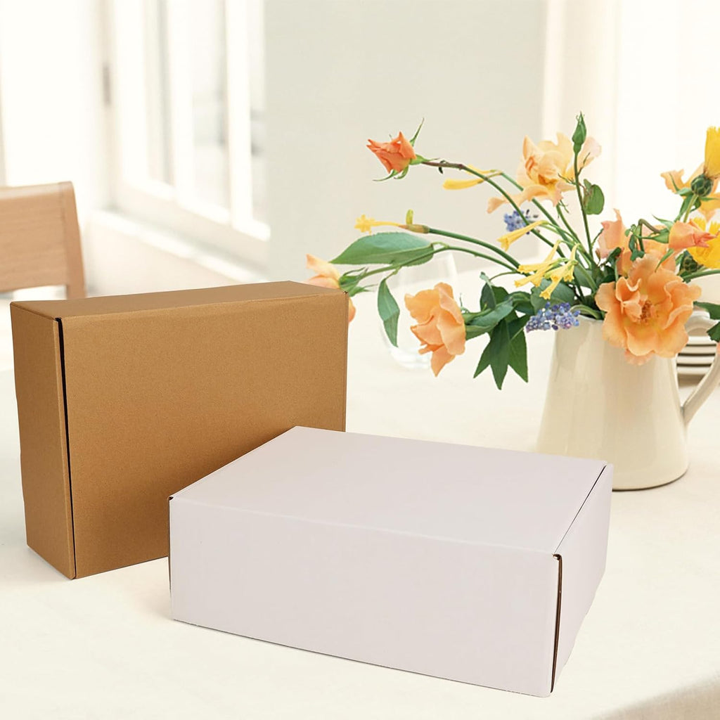 20 Pack 12x9x4 Shipping Boxes, 10 Pack White and 10 Pack Brown Corrugated Cardboard Box for Mailing, Packaging, Small
