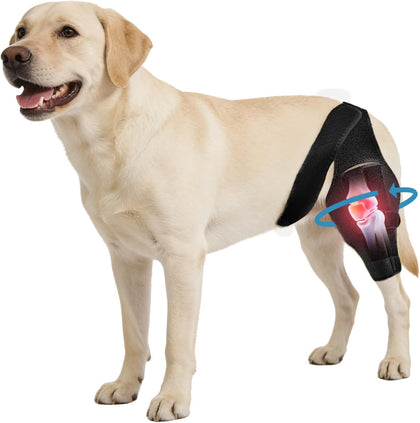 Dog Knee Brace for ACL CCL Support, Hind Leg Mobility Support (XL)