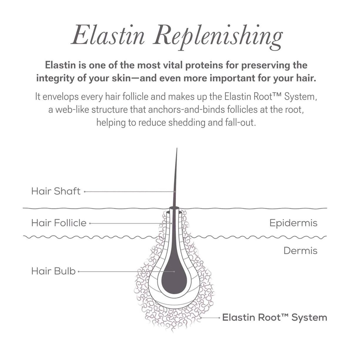 Follicle Fortifying Eyelash Serum, Thickening Lash Care, 0.1 oz