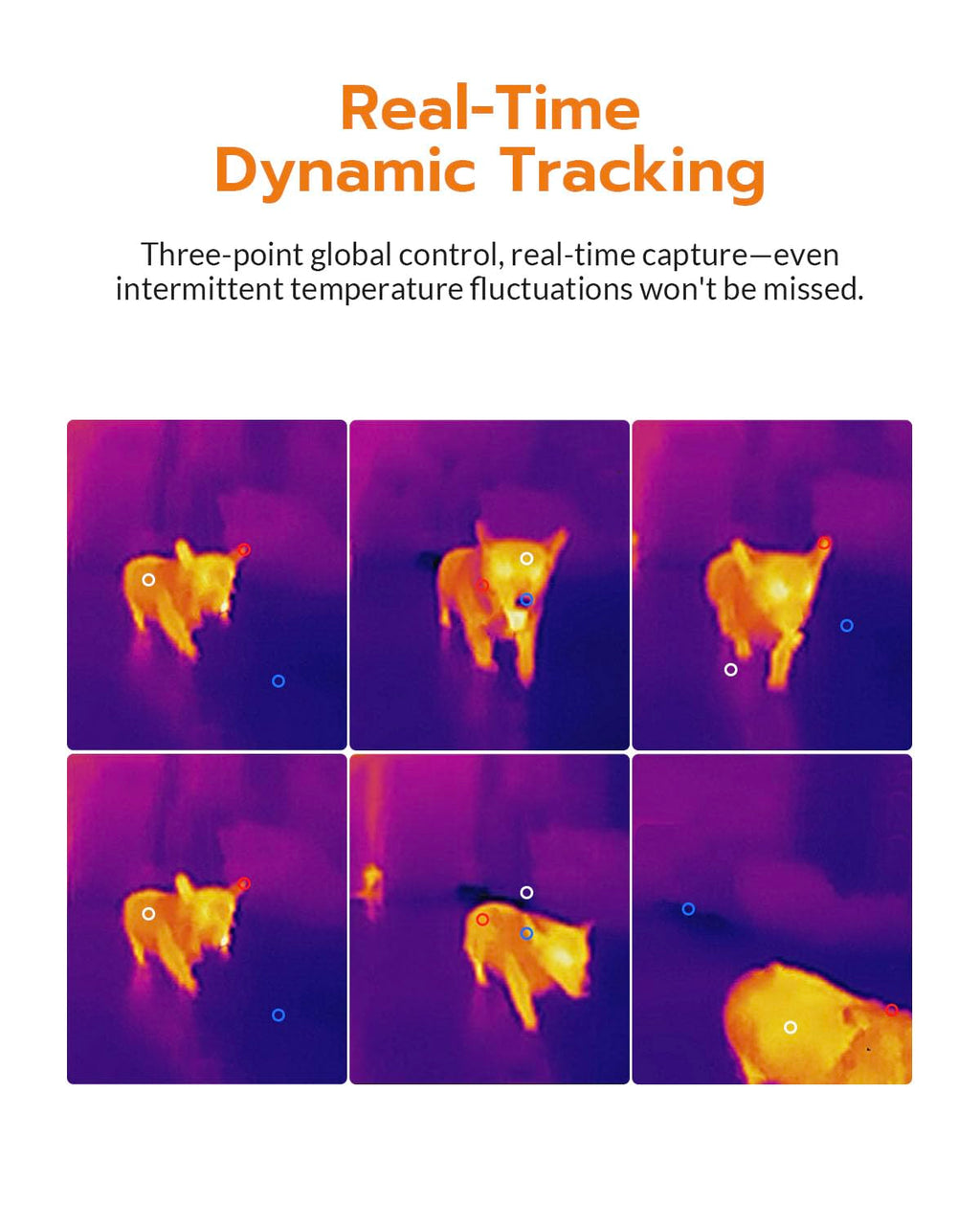 GT14S Thermal Imaging Camera with Edge Enhancement, Thermometer Mode
