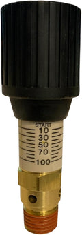 American Made Brass Pressure Relief 0-100 PSI Adjustable Range Valve